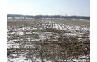 Property photo 22 - 87 Acres Offered in 4 Tracts