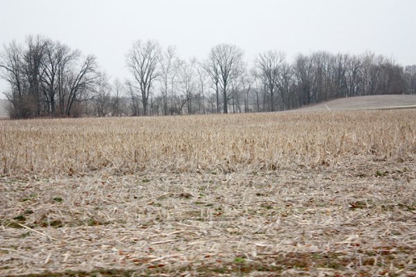 57+/- Acres - Auction