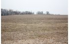 Property photo 6 - 57+/- Acres - Auction
