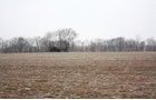 Property photo 2 - 57+/- Acres - Auction