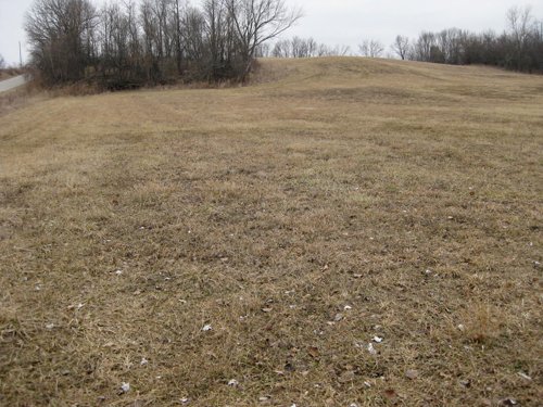 Property photo 4 - 36+/- Acres Offered in 2 Tracts