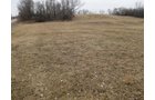 Property photo 4 - 36+/- Acres Offered in 2 Tracts