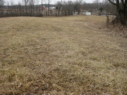 Property photo 1 - 36+/- Acres Offered in 2 Tracts