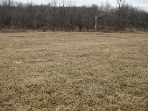 Property photo 6 - 36+/- Acres Offered in 2 Tracts