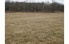 Property photo 6 - 36+/- Acres Offered in 2 Tracts
