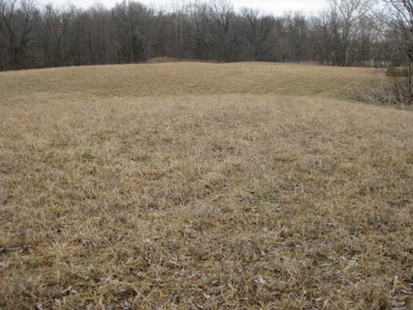 36+/- Acres Offered in 2 Tracts
