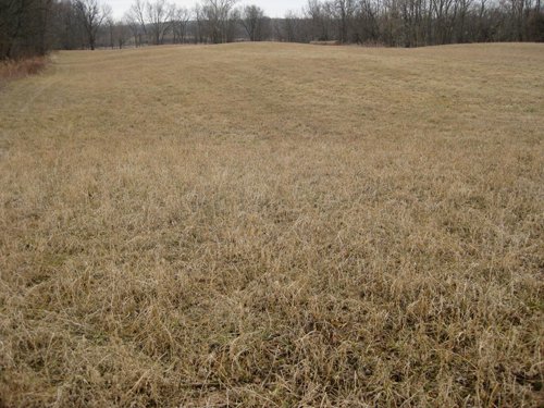 Property photo 7 - 36+/- Acres Offered in 2 Tracts