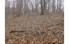 Property photo 10 - 36+/- Acres Offered in 2 Tracts