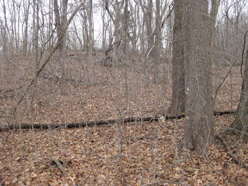 Property photo 9 - 36+/- Acres Offered in 2 Tracts