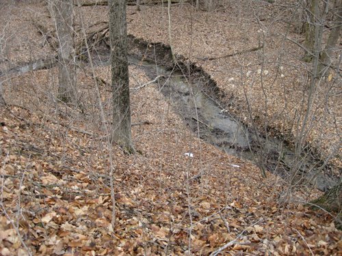 Property photo 2 - 36+/- Acres Offered in 2 Tracts