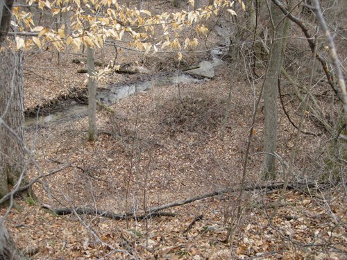 Property photo 12 - 36+/- Acres Offered in 2 Tracts