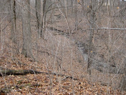Property photo 5 - 36+/- Acres Offered in 2 Tracts