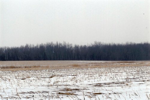 Property photo 2 - 2 Farms - 120 Acres Offered in 9 Tracts