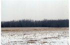 Property photo 2 - 2 Farms - 120 Acres Offered in 9 Tracts