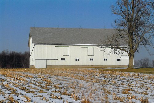 Property photo 8 - 2 Farms - 120 Acres Offered in 9 Tracts