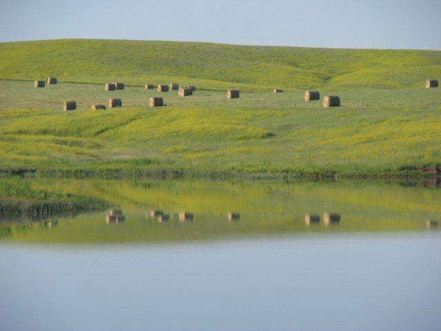 Property photo 18 - Land Auction - 2,485 Acres in 23 Tracts, Prime Pasture, Newer Country Home