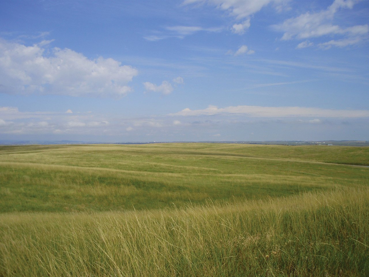 Property photo 1 - Land Auction - 2,485 Acres in 23 Tracts, Prime Pasture, Newer Country Home