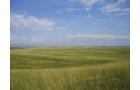Property photo 1 - Land Auction - 2,485 Acres in 23 Tracts, Prime Pasture, Newer Country Home