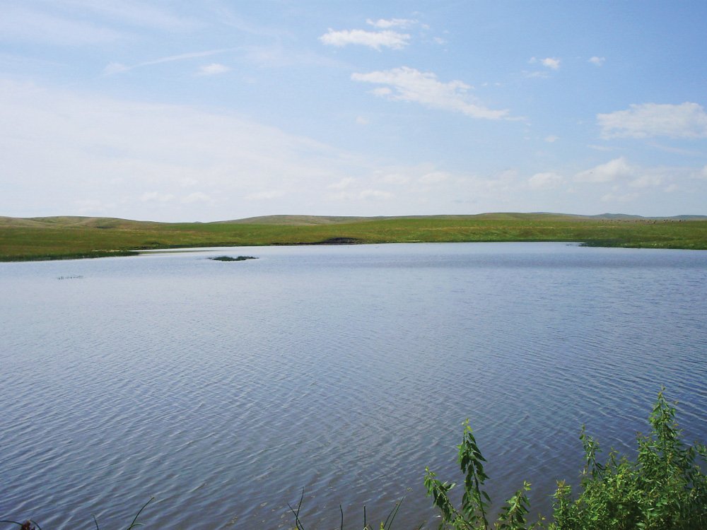 Property photo 11 - Land Auction - 2,485 Acres in 23 Tracts, Prime Pasture, Newer Country Home