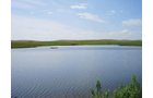 Property photo 11 - Land Auction - 2,485 Acres in 23 Tracts, Prime Pasture, Newer Country Home