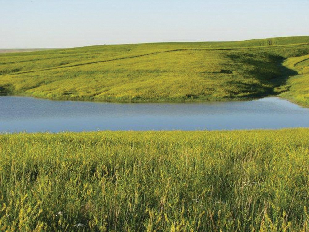 Property photo 2 - Land Auction - 2,485 Acres in 23 Tracts, Prime Pasture, Newer Country Home