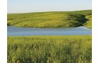 Property photo 2 - Land Auction - 2,485 Acres in 23 Tracts, Prime Pasture, Newer Country Home