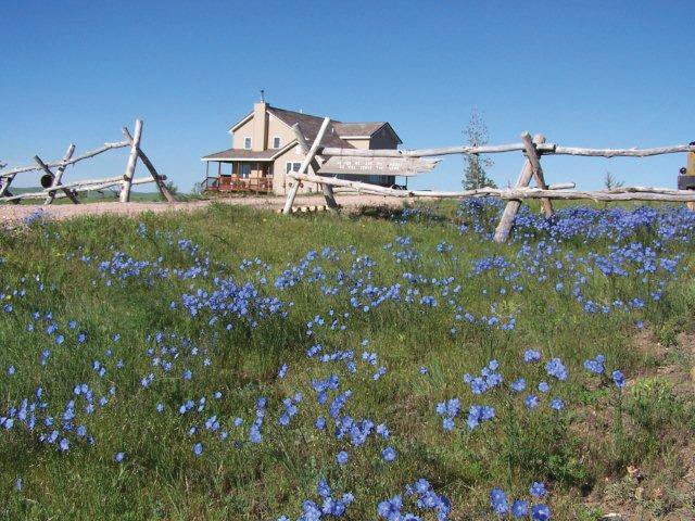 Property photo 6 - Land Auction - 2,485 Acres in 23 Tracts, Prime Pasture, Newer Country Home
