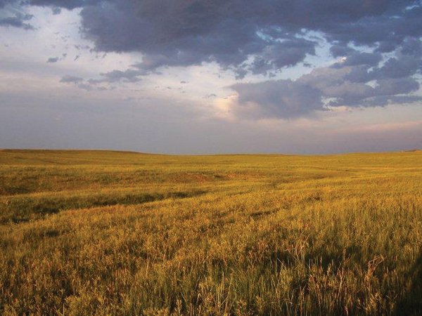 Land Auction - 2,485 Acres in 23 Tracts, Prime Pasture, Newer Country Home
