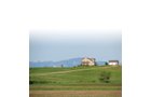 Property photo 5 - Land Auction - 2,485 Acres in 23 Tracts, Prime Pasture, Newer Country Home