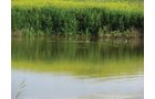 Property photo 12 - Land Auction - 2,485 Acres in 23 Tracts, Prime Pasture, Newer Country Home