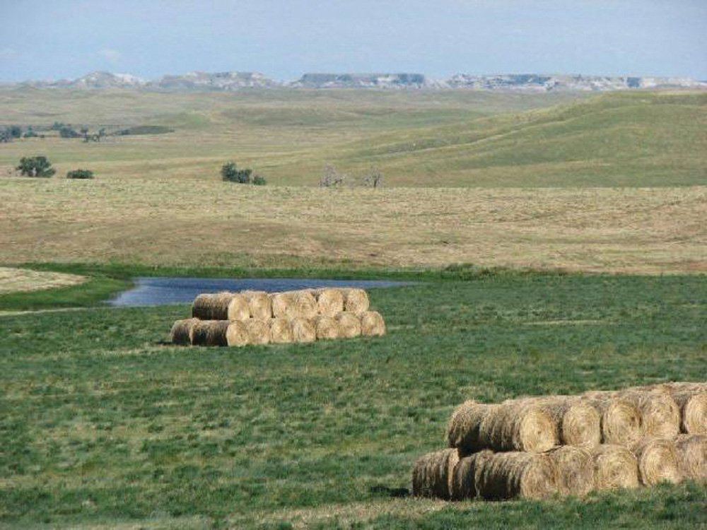 Property photo 14 - Land Auction - 2,485 Acres in 23 Tracts, Prime Pasture, Newer Country Home