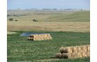 Property photo 14 - Land Auction - 2,485 Acres in 23 Tracts, Prime Pasture, Newer Country Home