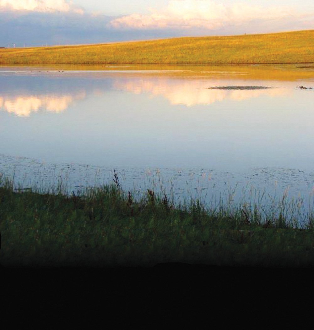 Property photo 20 - Land Auction - 2,485 Acres in 23 Tracts, Prime Pasture, Newer Country Home