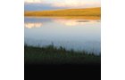 Property photo 20 - Land Auction - 2,485 Acres in 23 Tracts, Prime Pasture, Newer Country Home