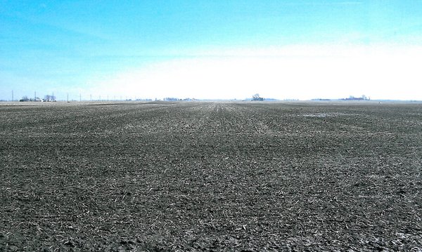 77.58 Acres of Productive Tillable Land - Offered in 1 Tract
