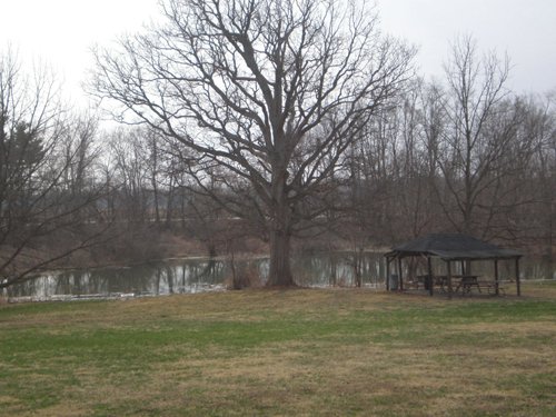 Property photo 7 - 175+/- Acres in 5 Tracts