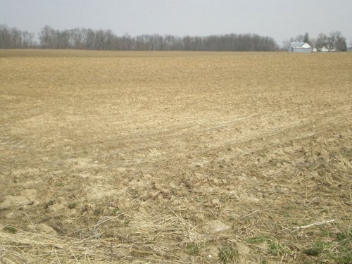 Property photo 3 - 175+/- Acres in 5 Tracts
