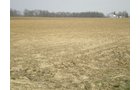 Property photo 3 - 175+/- Acres in 5 Tracts