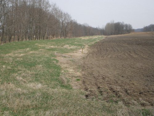 Property photo 1 - 175+/- Acres in 5 Tracts