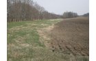 Property photo 1 - 175+/- Acres in 5 Tracts