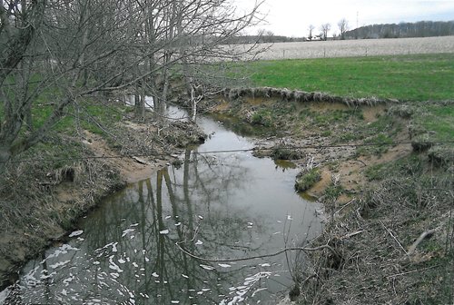 Property photo 1 - 65+/- Acres Offered in 2 Tracts