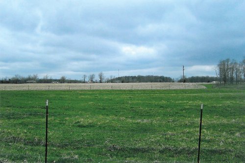 Property photo 3 - 65+/- Acres Offered in 2 Tracts