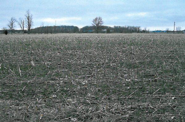 65+/- Acres Offered in 2 Tracts