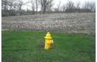 Property photo 2 - 65+/- Acres Offered in 2 Tracts