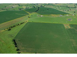 Property photo 22 - Land Auction Event of the Year! 5,529 Acres in 54 Tracts - Tillable Land, Country Estates, Building Sites, Show Barn