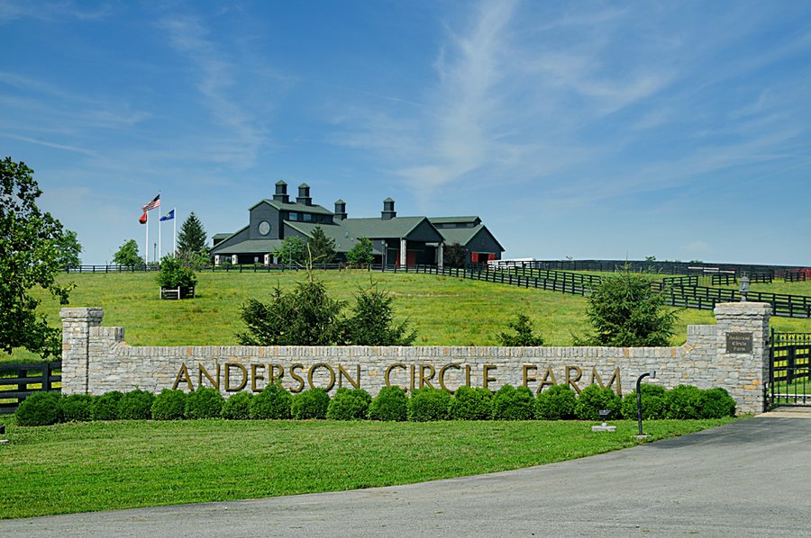 Land Auction Event of the Year! 5,529 Acres in 54 Tracts - Tillable Land, Country Estates, Building Sites, Show Barn