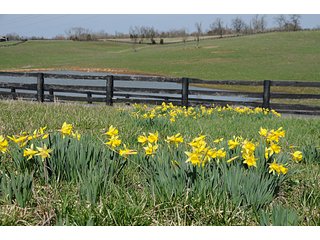 Property photo 18 - Land Auction Event of the Year! 5,529 Acres in 54 Tracts - Tillable Land, Country Estates, Building Sites, Show Barn