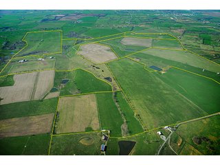 Property photo 16 - Land Auction Event of the Year! 5,529 Acres in 54 Tracts - Tillable Land, Country Estates, Building Sites, Show Barn