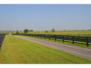 Property photo 34 - Land Auction Event of the Year! 5,529 Acres in 54 Tracts - Tillable Land, Country Estates, Building Sites, Show Barn