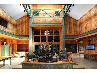 Property photo 9 - Land Auction Event of the Year! 5,529 Acres in 54 Tracts - Tillable Land, Country Estates, Building Sites, Show Barn